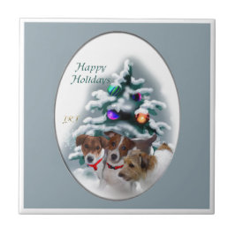 Jack Russell Terrier Natal