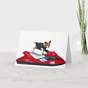 Jack Russell Terrier no cartão de visita Jetski