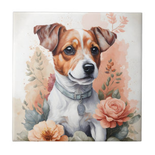 Jack Russell Terrier Puppy