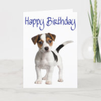 Jack Russell Terrier Puppy Dog Cartão de Aniversár
