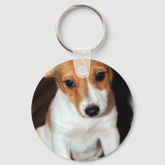 Jack Russell Terrier Puppy Dog Chaveiro (Frente)