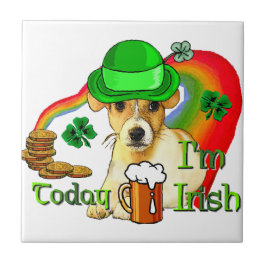 Jack Russell Terrier St Patricks