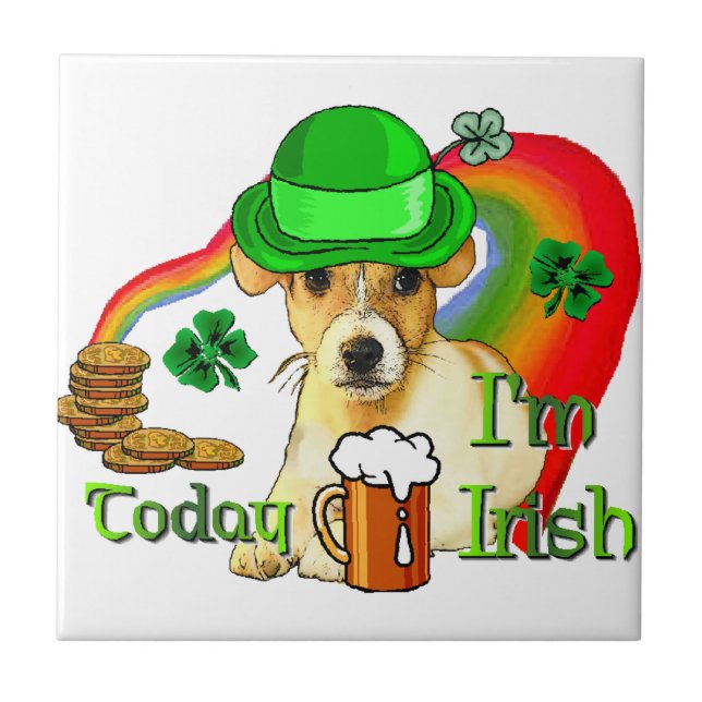Jack Russell Terrier St Patricks (Frente)