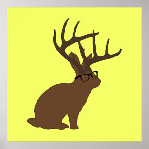 jackalope com poster dos vidros