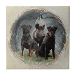 Jagdterrier, brava tapeçaria cardíaca poster acríl