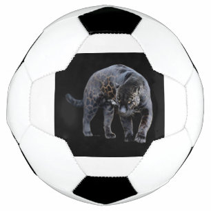 Jaguar Diablo bola de futebol