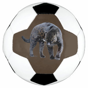 Jaguar Diablo - bola de futebol marrom
