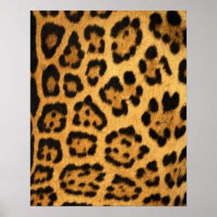 Jaguar fur Impressão