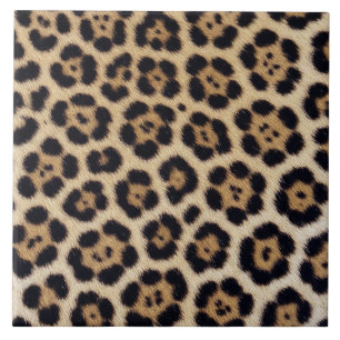 jaguar leopardo textura pelo pele couro animal pri