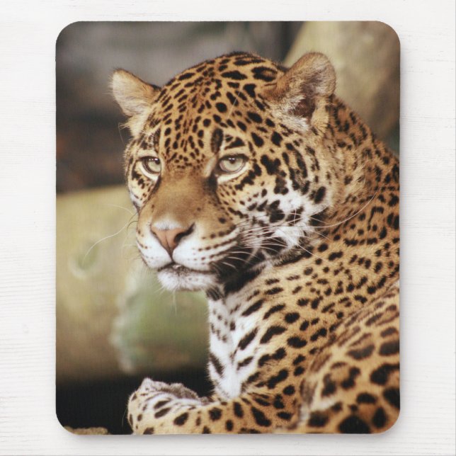 Jaguar Mousepad (Frente)