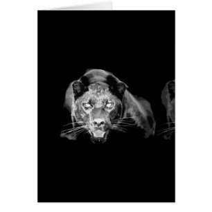 Jaguar Preto E Branco - Cartões Selvagens Para Ven