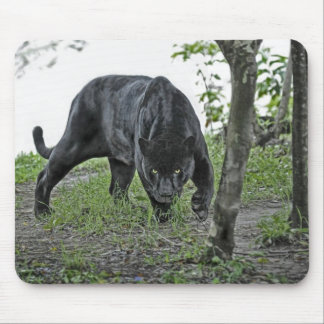 Jaguar preto que desengaça Mousepad