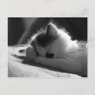 jane jessy - Cartão postal