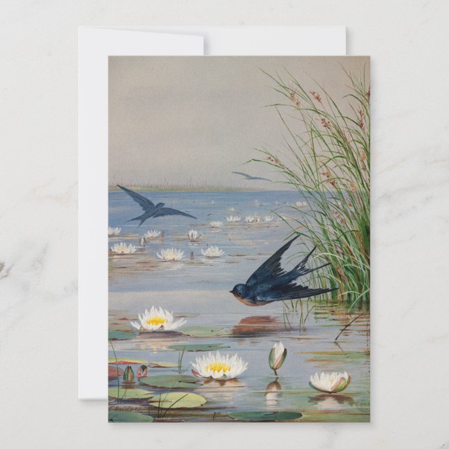 Janeiro | Fidelia Bridges (Frente)