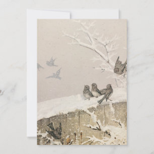 Janeiro II   Fidelia Bridges