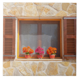 Janela de uma Finca espanhola
