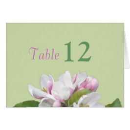 Jantar cartão de número da tabela