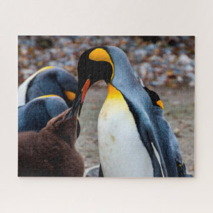 Jantar de Pinguim com Família, Quebra-Cabeça
