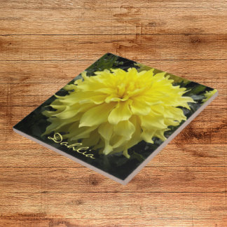 Janto Amarelo Plate Dahlia Floral