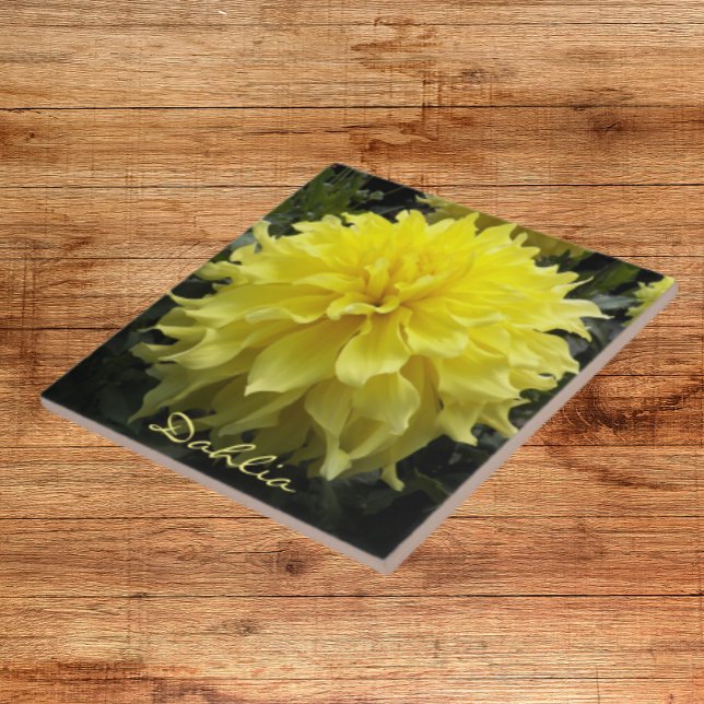 Janto Amarelo Plate Dahlia Floral (In Situ)