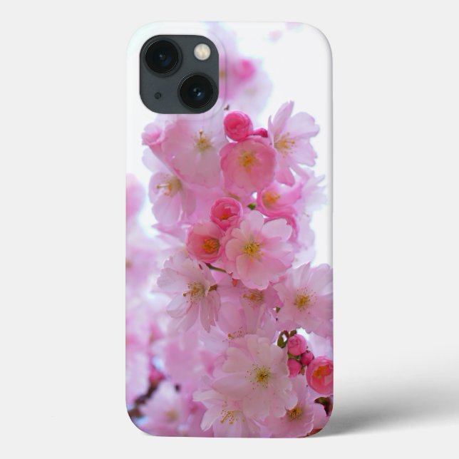 Japanese Cherry Tree Flower (Verso)