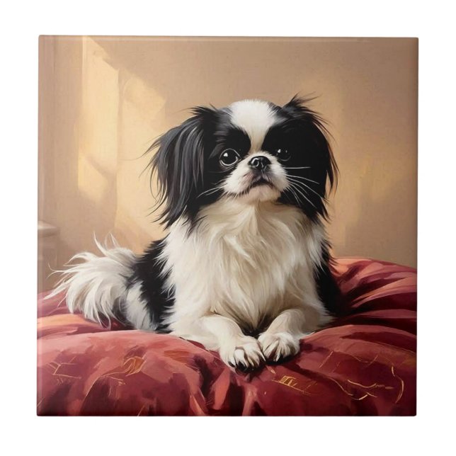 Japanese Chin (Frente)