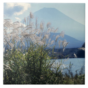 Japão, Honshu, Pref. Yamanashi, Fuji-Hakone-Izu