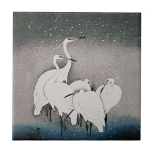 Japonês Egrets Koson Cranes Winter Snow