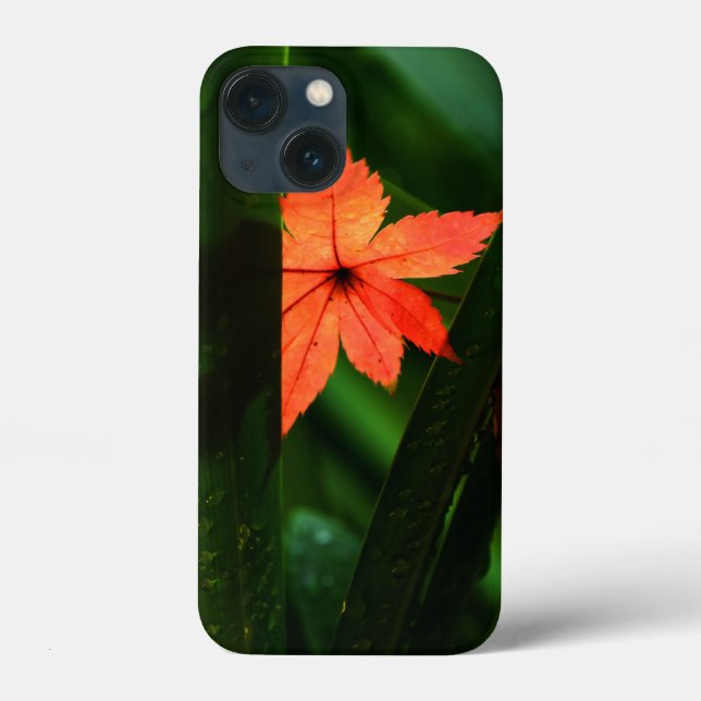 Japonês Maple Leaf (Verso)