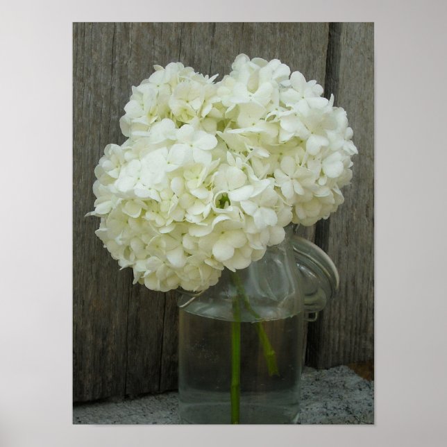 Jar Of Hydrangeas & Barn Wood Poster (Frente)