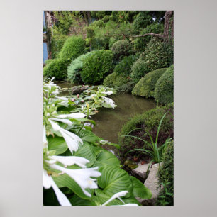 Jardim 1 do zen com beira branca outros posters