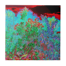 Jardim Abstrato Colorido com Crimson Sunset