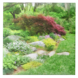 Jardim Com Acer Japonês