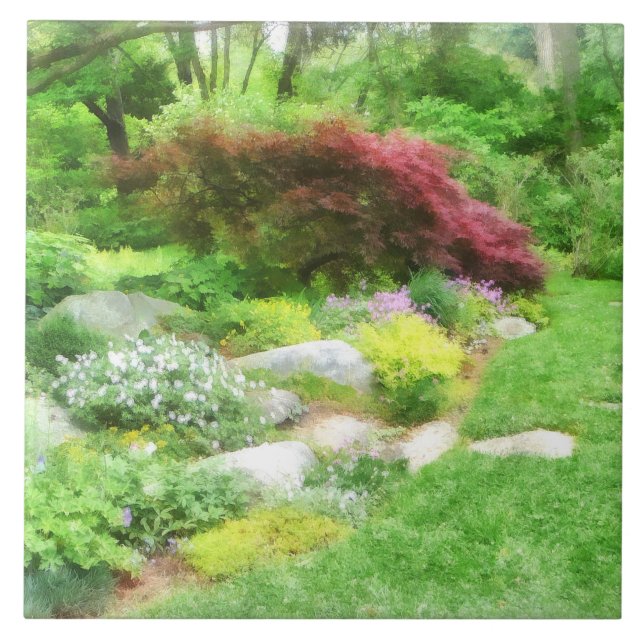 Jardim Com Acer Japonês (Frente)
