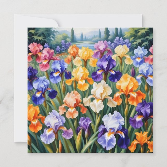 Jardim da íris colorido (Frente)