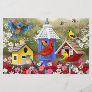 Jardim das Flores e Aves Coloridas