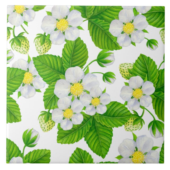 Jardim de amora 2 (Frente)