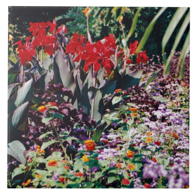 Jardim de cura (Frente)