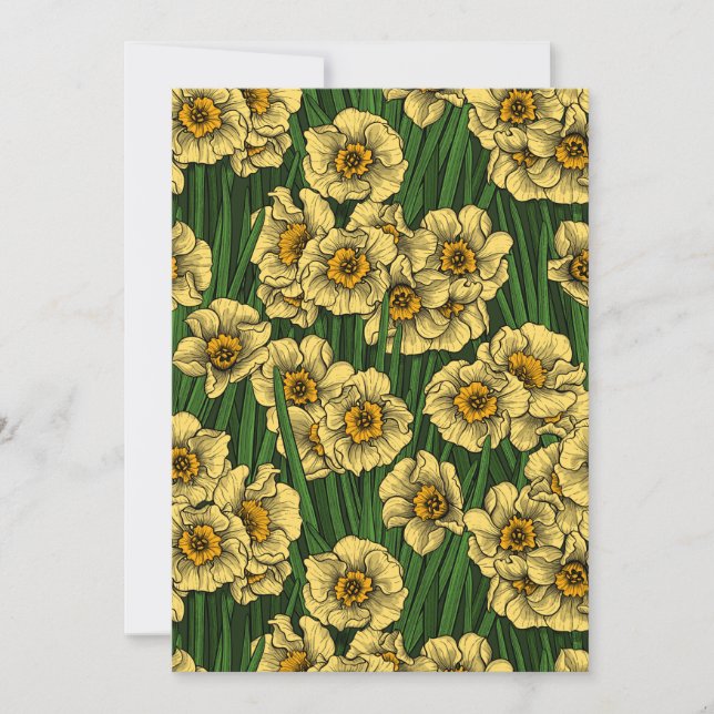 Jardim de Daffodil (Frente)