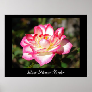 Jardim de flores de rosa impressões artísticas Ros