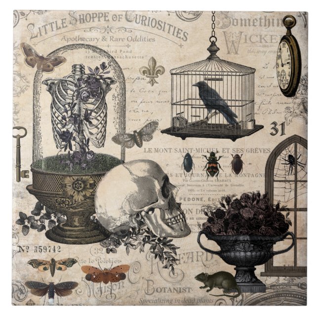 Jardim de Halloween Moderno Vintage (Frente)