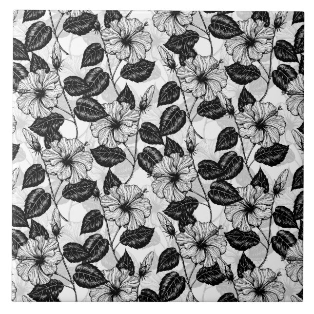 Jardim de Hibiscus (Frente)