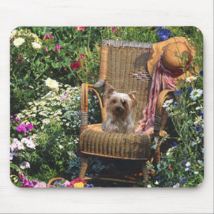 Jardim de Mousepad do yorkshire terrier