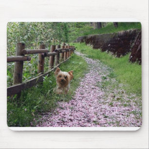 Jardim de Mousepad do yorkshire terrier