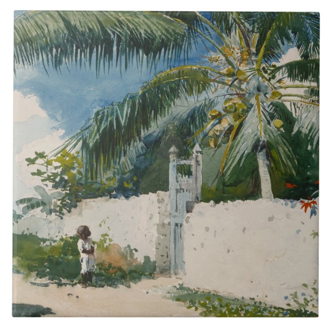 Jardim de Nassau, Bahamas (Arte Caribe) (Frente)
