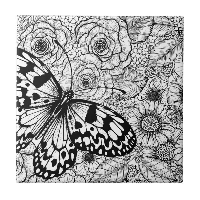 Jardim de papagaio (Frente)