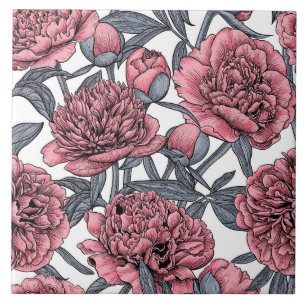 Jardim de peônias rosa