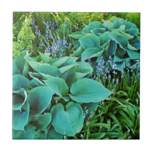 Jardim de plantas com enxerto verde
