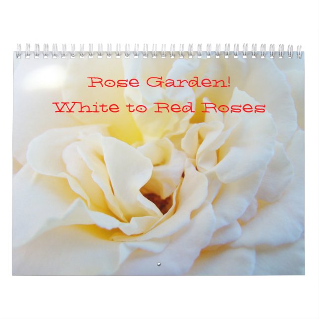 Jardim de Rosas! Calendários Fotografia Branco ao  (Capa)
