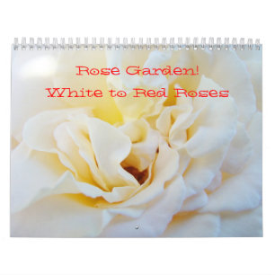 Jardim de Rosas! Calendários Fotografia Branco ao